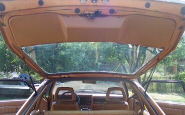 Ford-Mustang-1980-Cobra-Hatchback-7