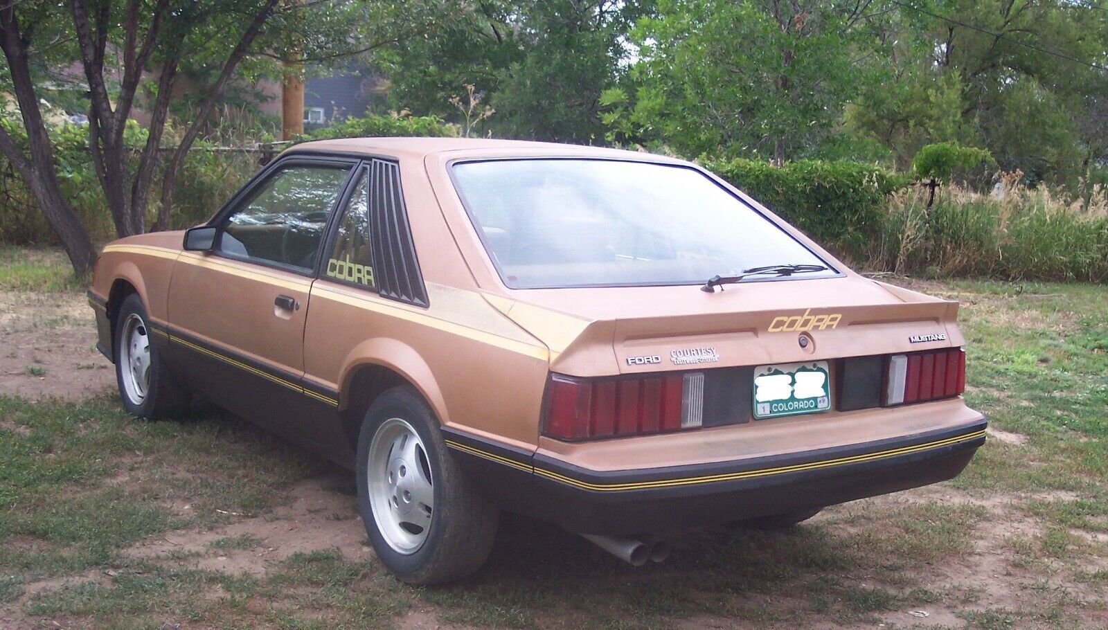 Ford-Mustang-1980-Cobra-Hatchback
