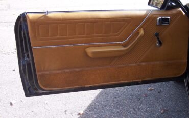 Ford-Mustang-1982-Hatchback-12