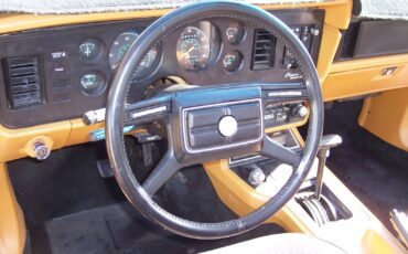 Ford-Mustang-1982-Hatchback-19
