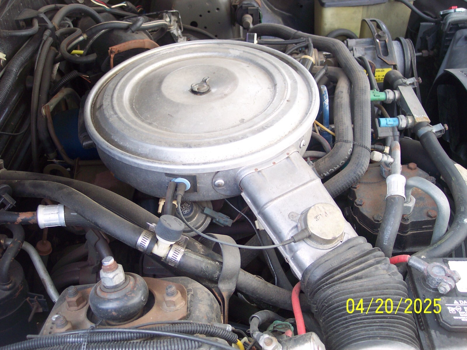 Ford-Mustang-1982-Hatchback-22