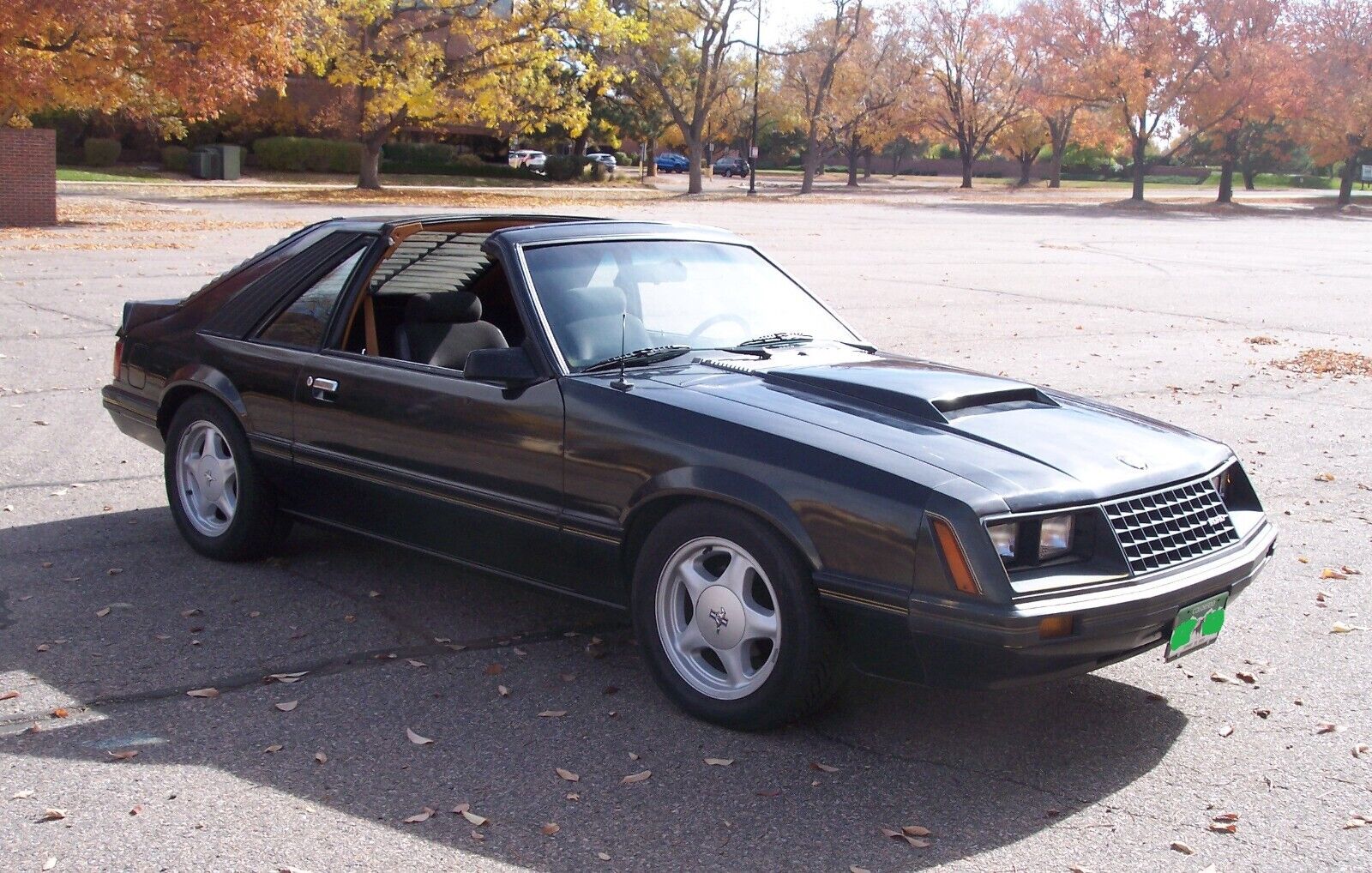 Ford-Mustang-1982-Hatchback-3