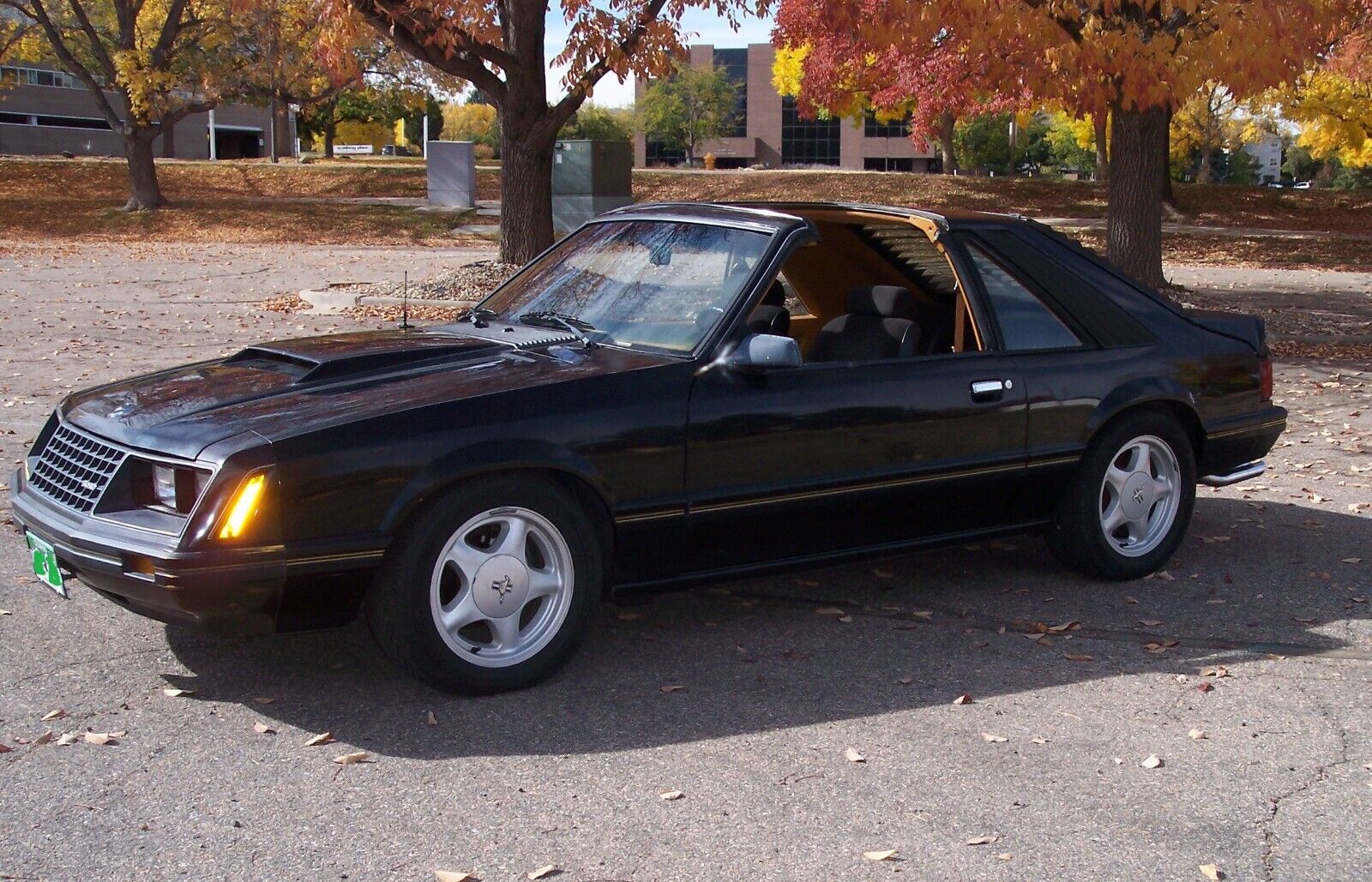 Ford-Mustang-1982-Hatchback-5