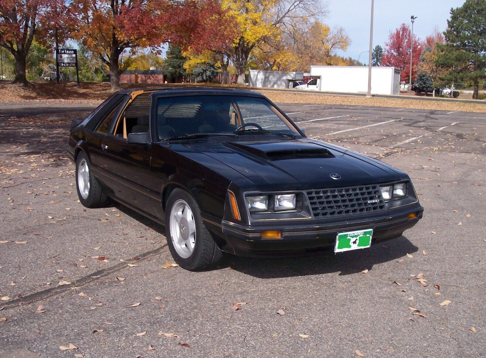 Ford-Mustang-1982-Hatchback-9