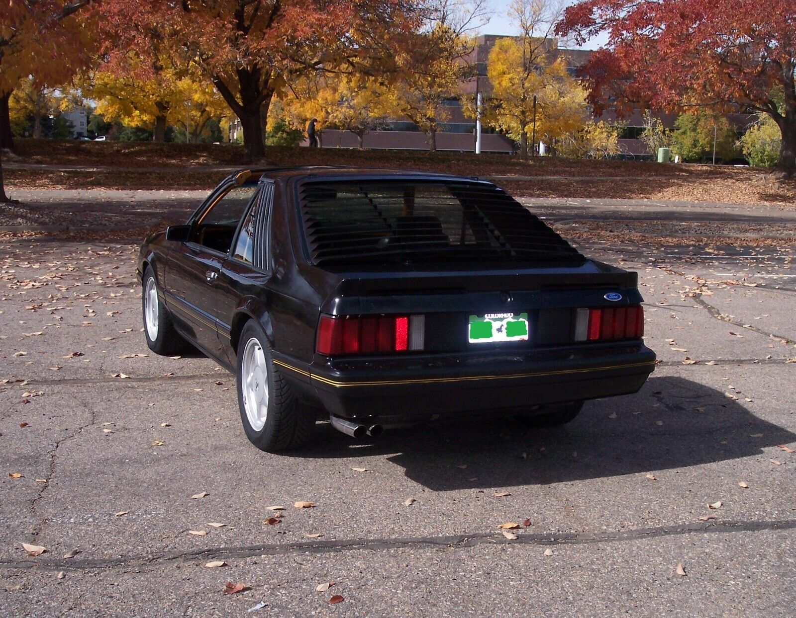 Ford Mustang 1982 Hatchback