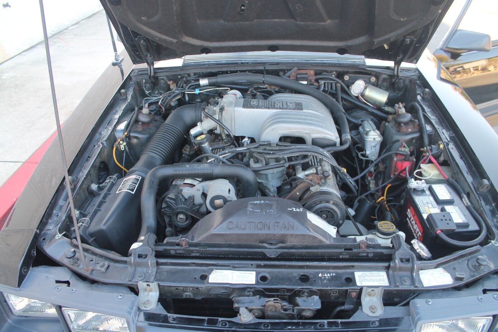 Ford-Mustang-1986-Hatchback-19