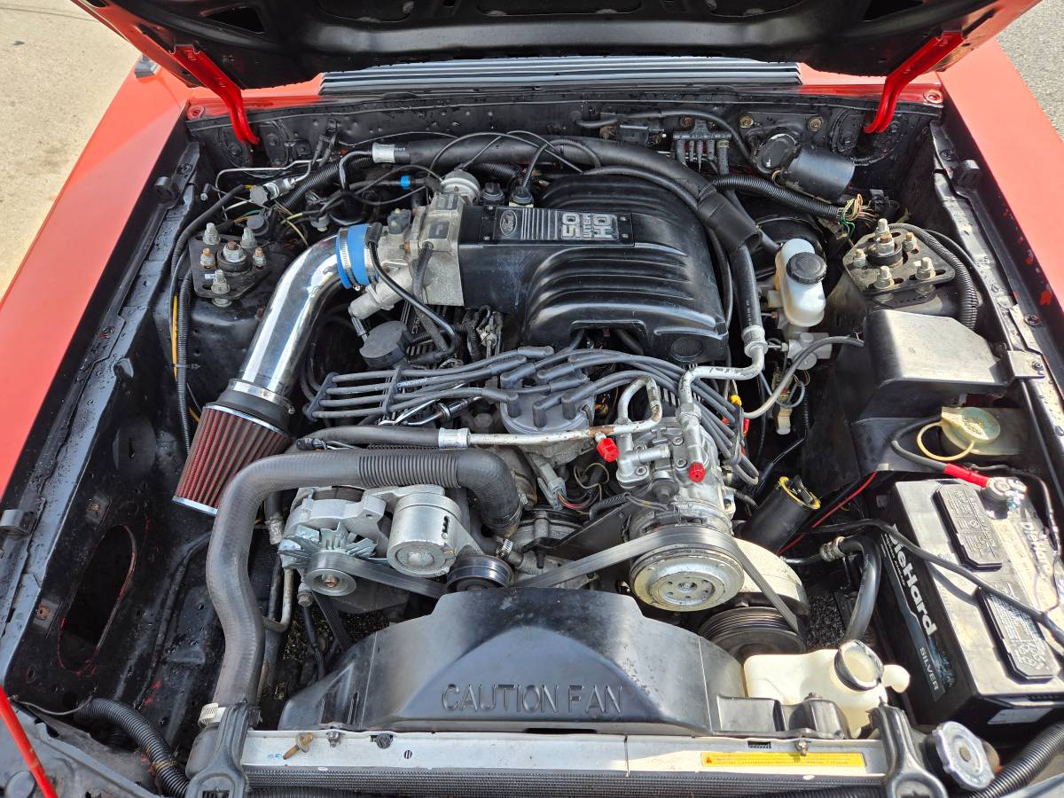 Ford-Mustang-1986-red-18