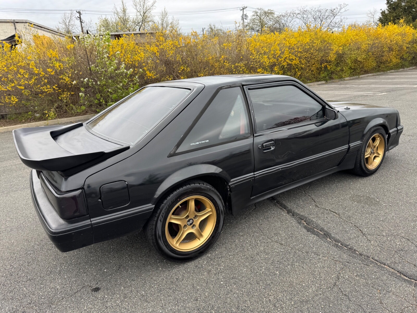 Ford-Mustang-1989-7