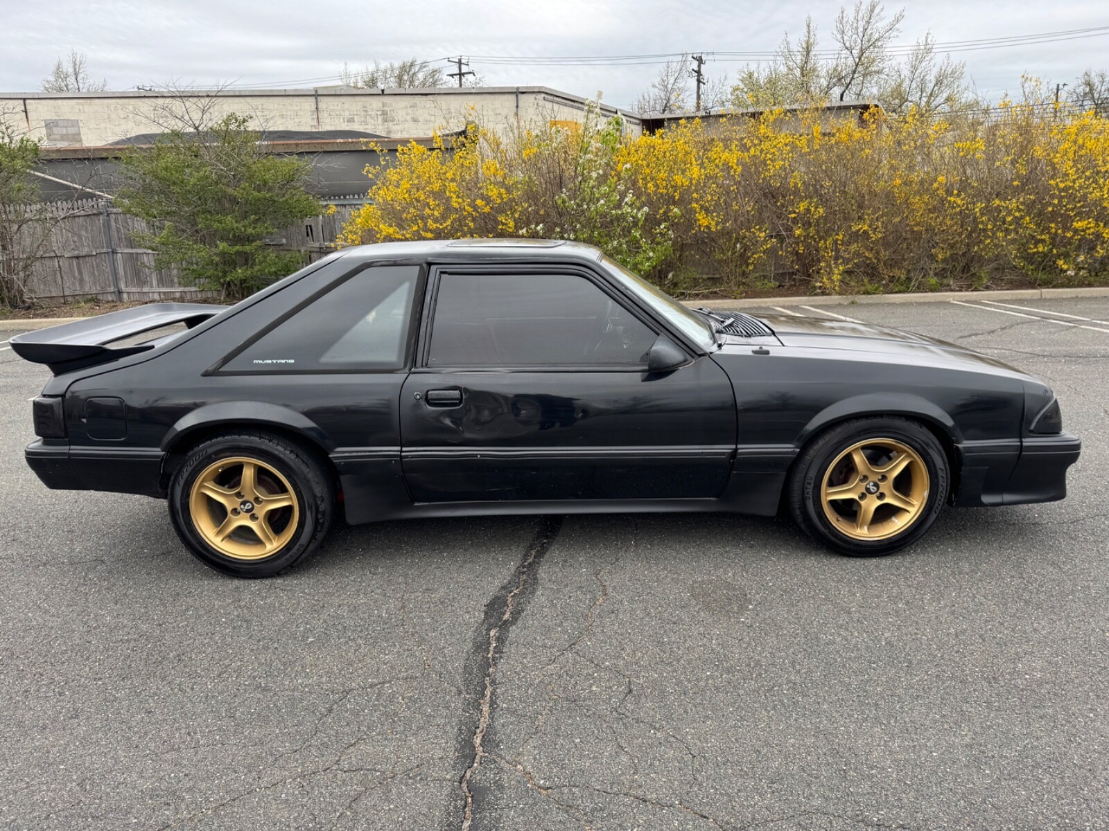 Ford-Mustang-1989-8