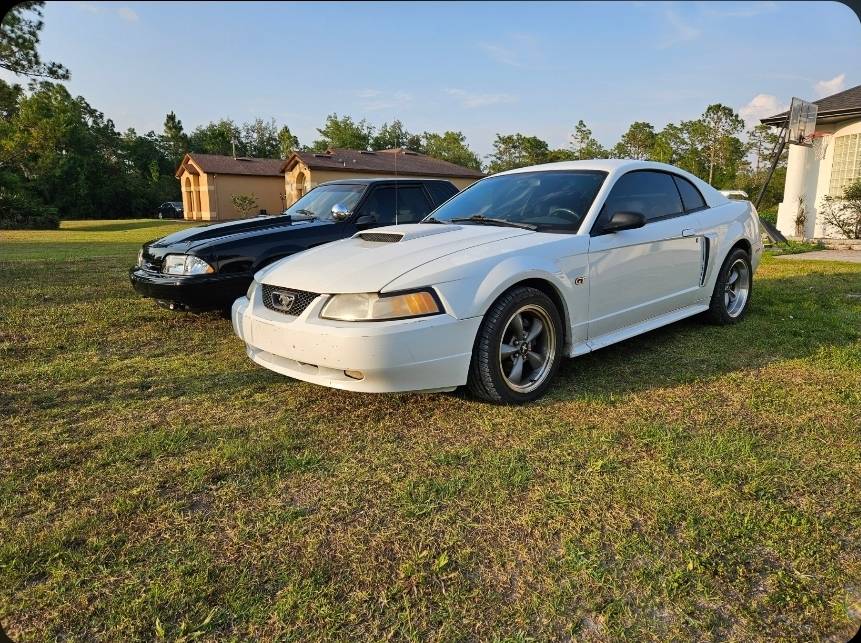 Ford-Mustang-5.0-1989-black-3