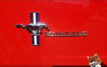 Ford-Mustang-Flat-6-1966-Coupe-11