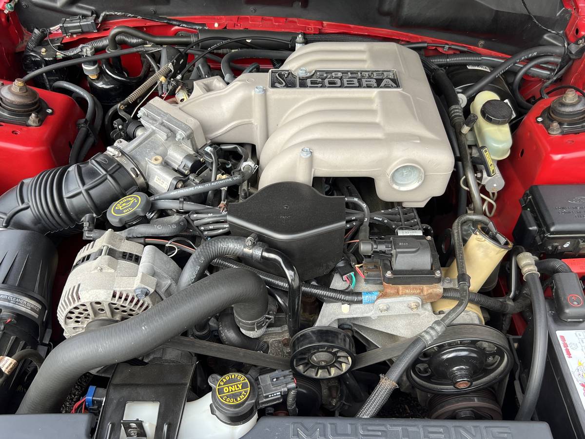 Ford-Mustang-cobra-1995-15