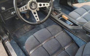 Ford-Mustang-cobra-2-1976-black-11