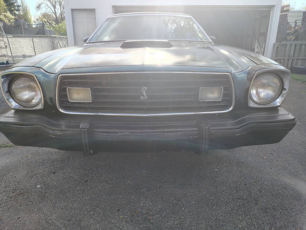 Ford-Mustang-cobra-2-1976-black-8