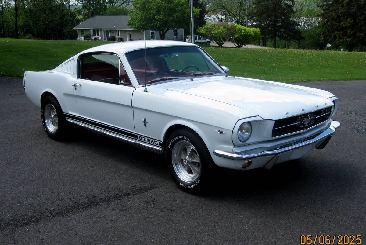 Ford-Mustang-fastback-1964-white-2