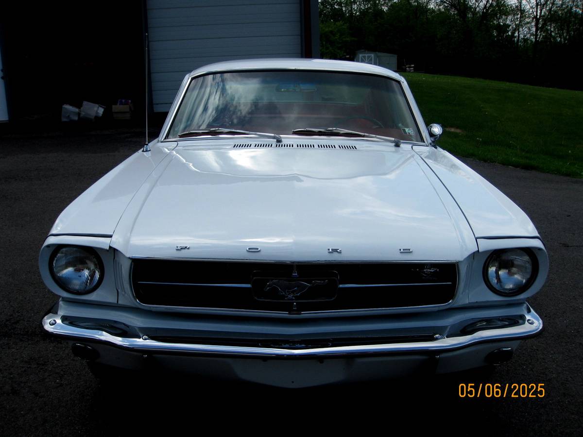 Ford-Mustang-fastback-1964-white-4