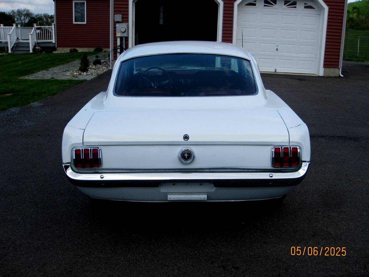 Ford-Mustang-fastback-1964-white-5