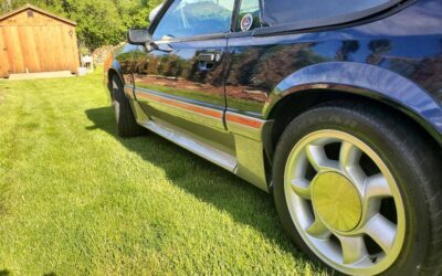 Ford Mustang gt  1988 blue