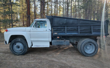 Ford-Other-1979-1