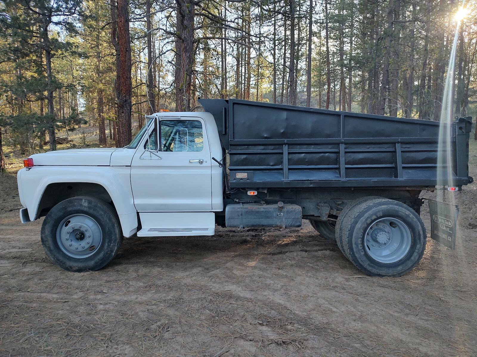 Ford-Other-1979-1