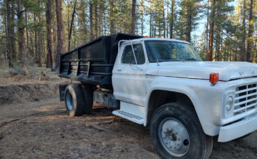 Ford-Other-1979-4