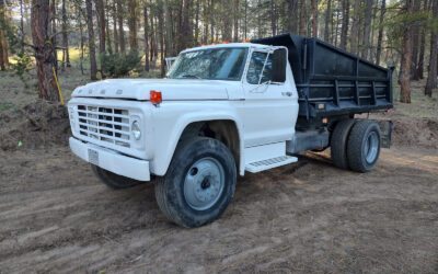 Ford Other 1979