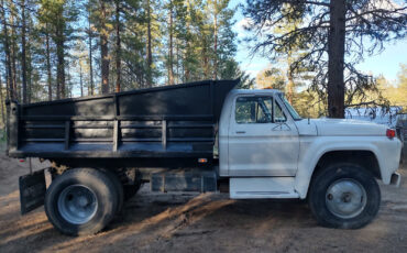 Ford-Other-1979-5