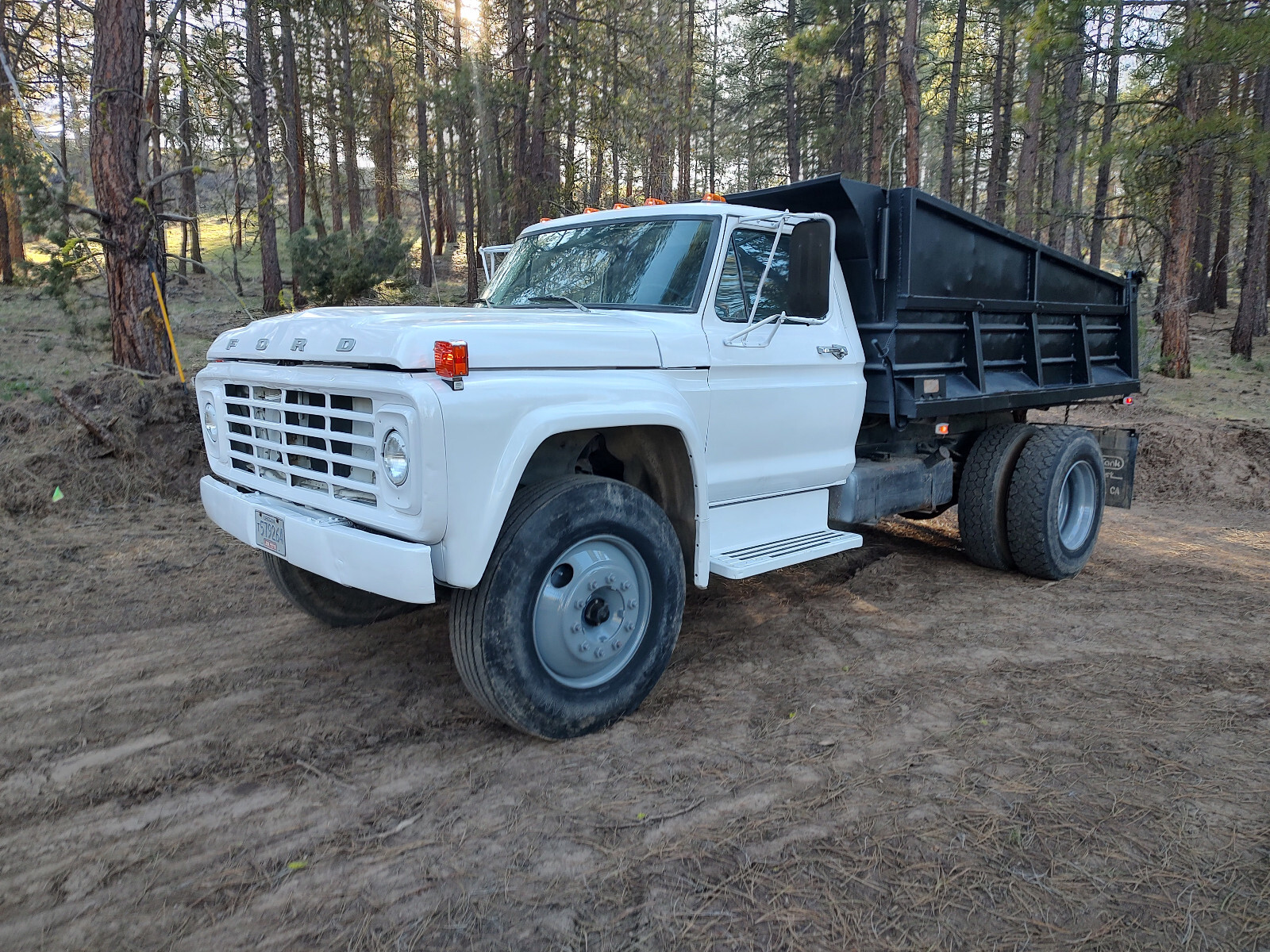 Ford Other 1979