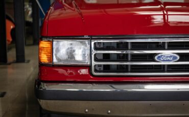Ford-Other-Pickups-1991-Pickup-13