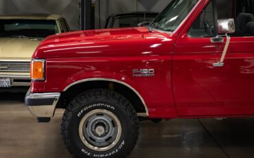 Ford-Other-Pickups-1991-Pickup-4