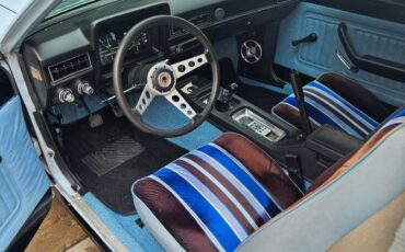 Ford-Pinto-cruising-wagon-1979-blue-2