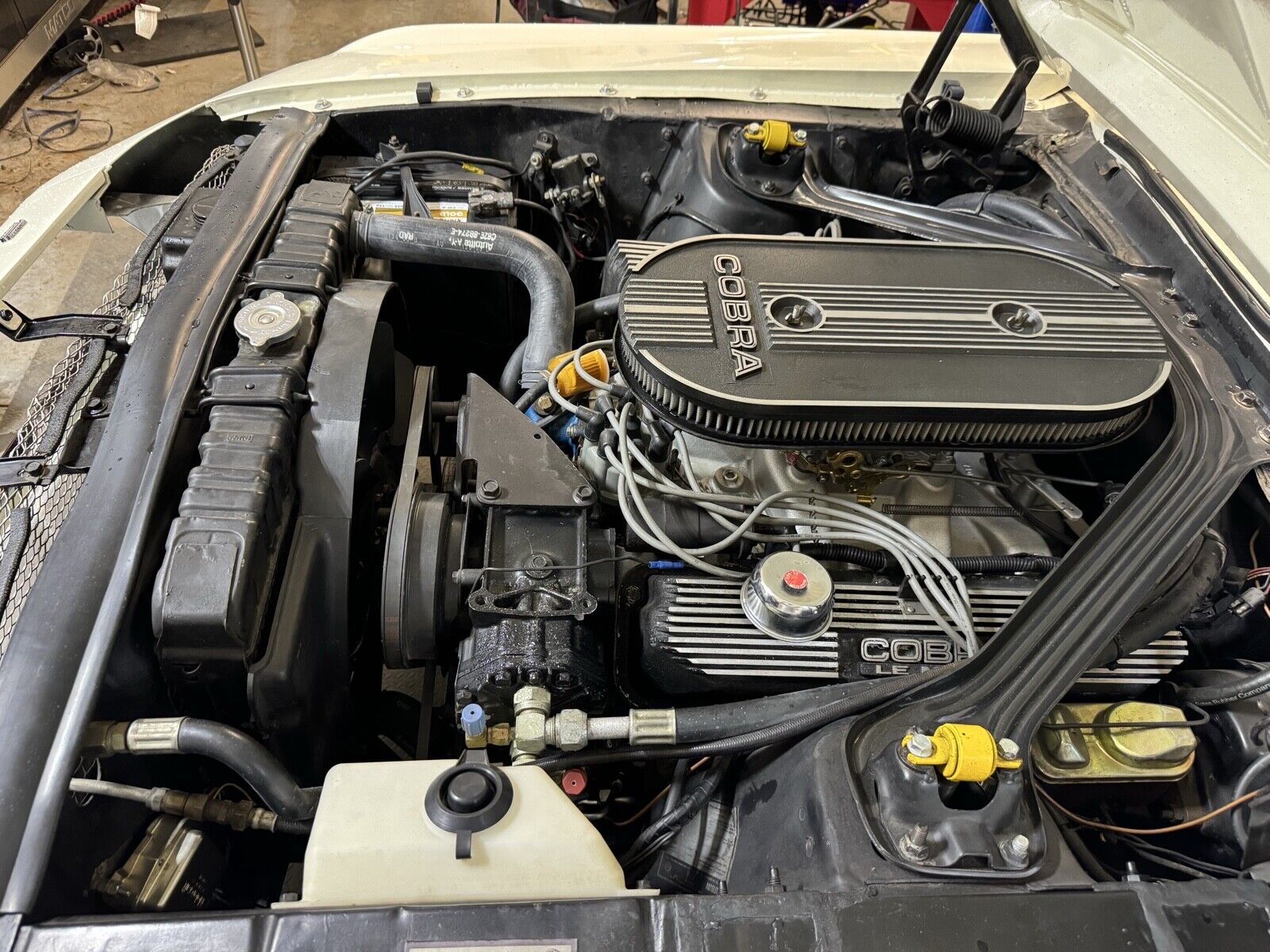 Ford-Shelby-1968-Hatchback-12