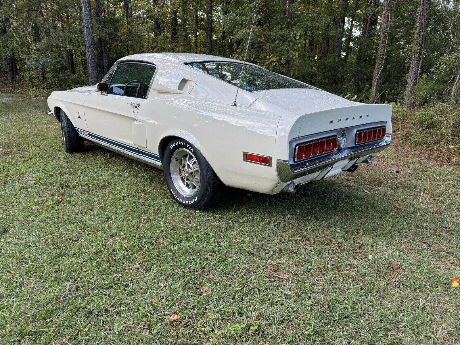 Ford-Shelby-1968-Hatchback-2