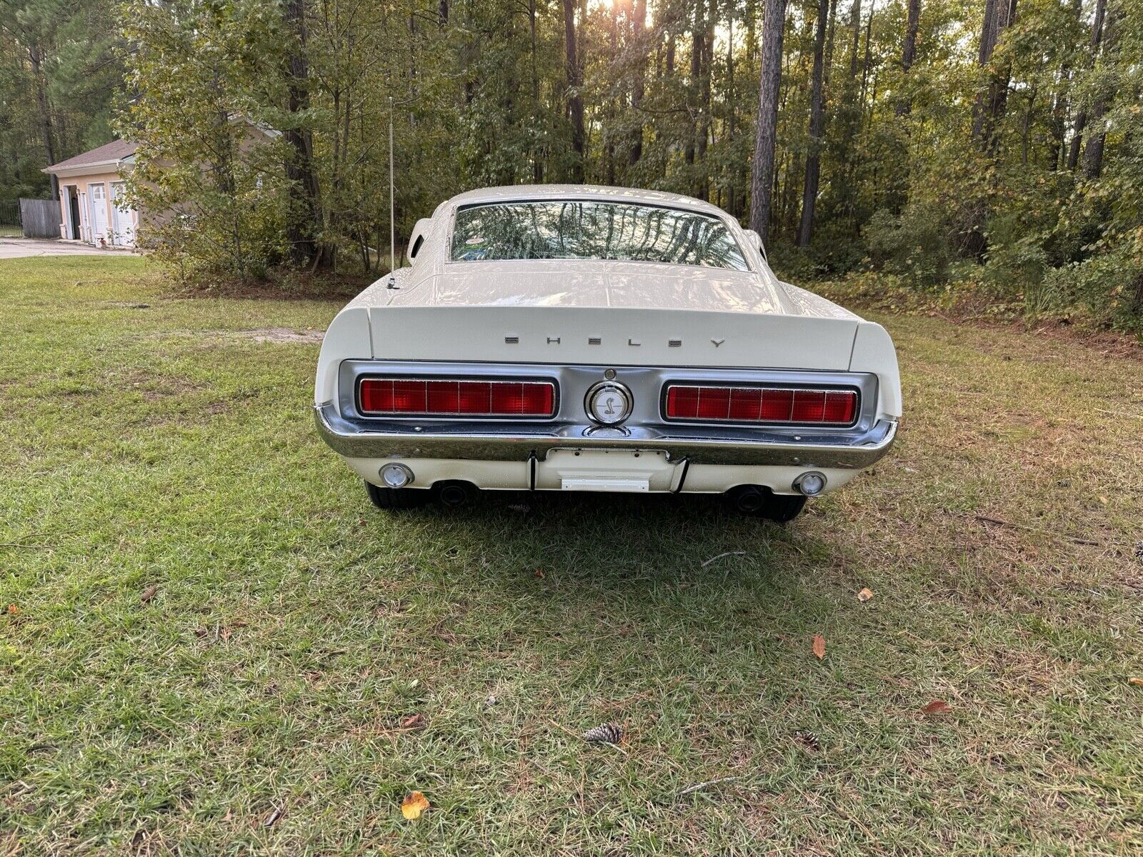Ford-Shelby-1968-Hatchback-3