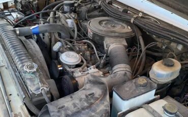 Ford-Super-duty-diesel-1993-white-19