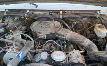 Ford-Super-duty-diesel-1993-white-20
