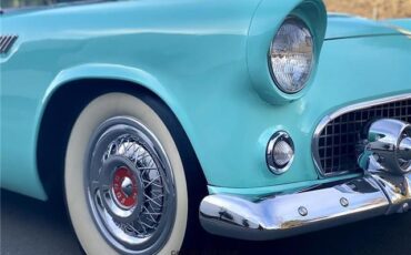 Ford-T-Bird-1955-Convertible-17