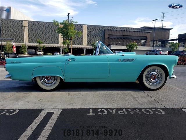 Ford-T-Bird-1955-Convertible-2