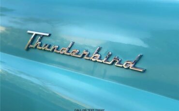 Ford-T-Bird-1955-Convertible-38