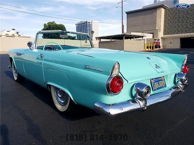 Ford-T-Bird-1955-Convertible-6