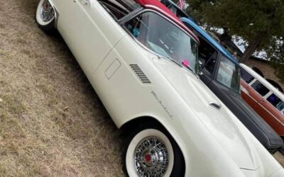 Ford T-bird  1957 white