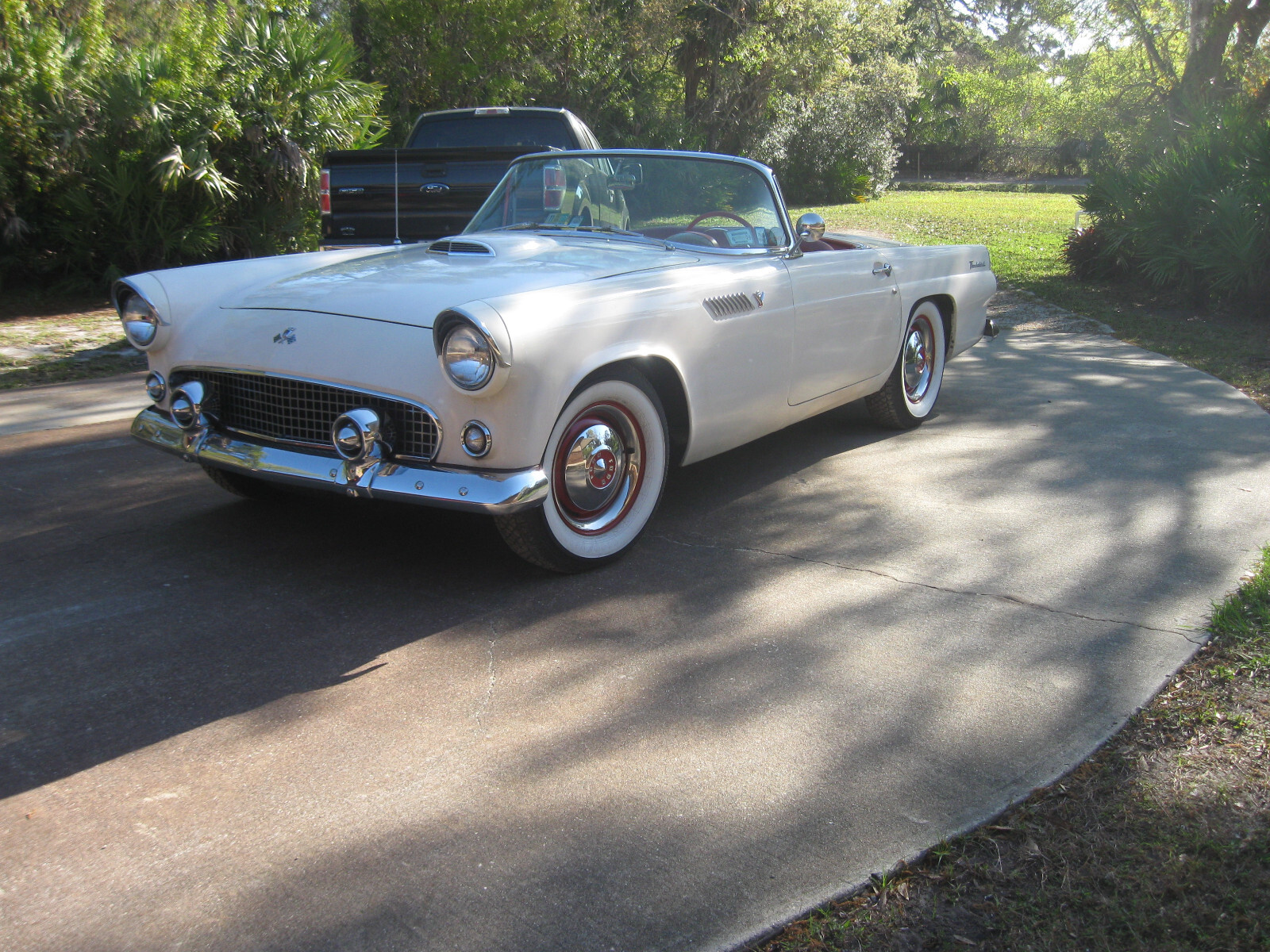 Ford-Thunderbird-1955-Convertible-1