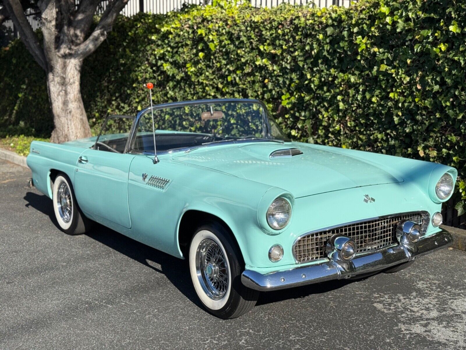Ford-Thunderbird-1955-Convertible-1