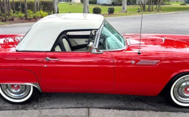 Ford-Thunderbird-1955-Convertible-1