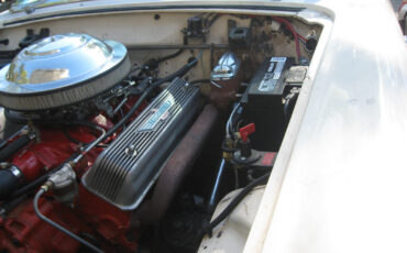 Ford-Thunderbird-1955-Convertible-10