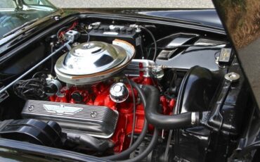 Ford-Thunderbird-1955-Convertible-12