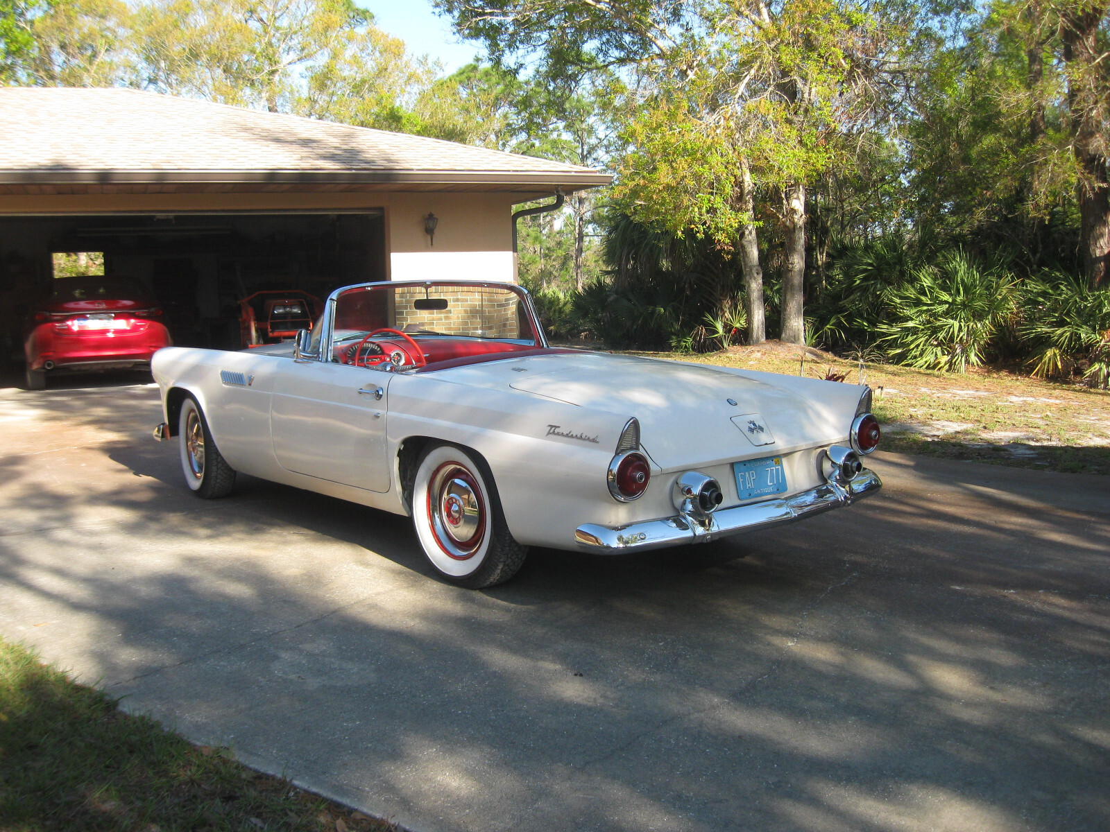 Ford-Thunderbird-1955-Convertible-2