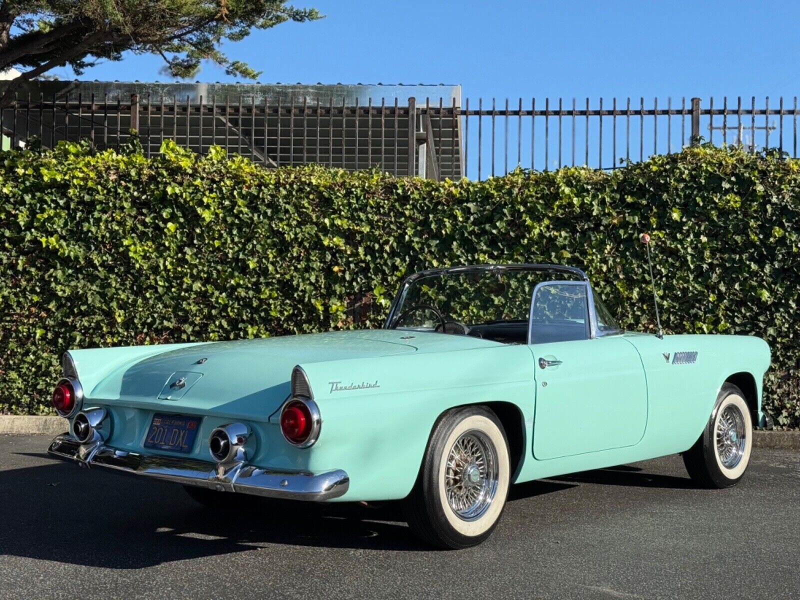 Ford-Thunderbird-1955-Convertible-2