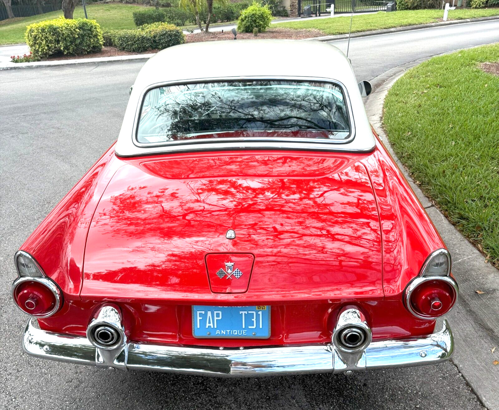 Ford-Thunderbird-1955-Convertible-2