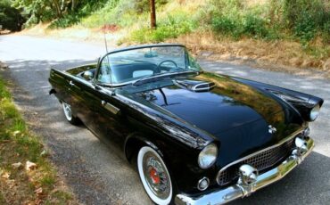 Ford-Thunderbird-1955-Convertible-21